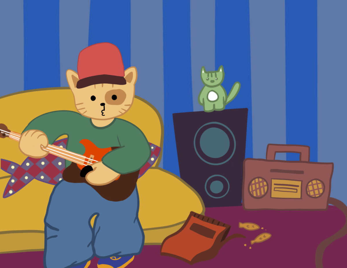 Cats can play the guitar